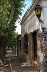 8 Colonia